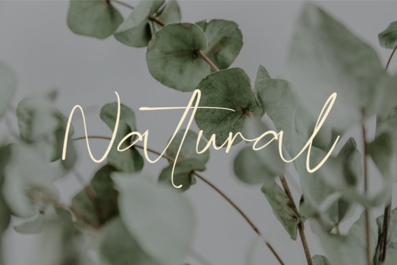 Gatha Duo Font Font - Preview 5