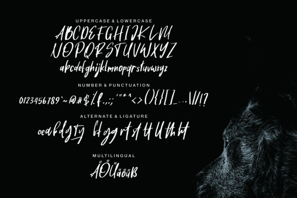 Baggel Font - Preview 5