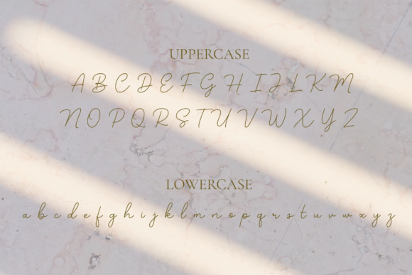 Bellinda Font - Preview 3