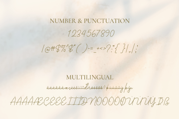 Bellinda Font - Preview 4