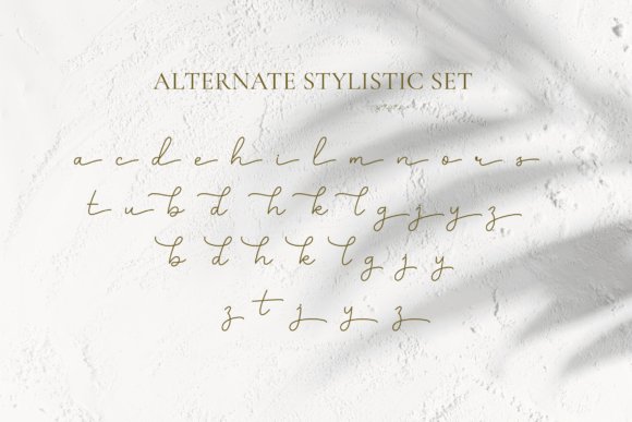 Bellinda Font - Preview 5