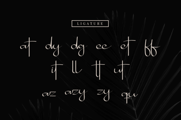 Bhotten Script Font - Preview 1