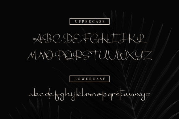 Bhotten Script Font - Preview 6