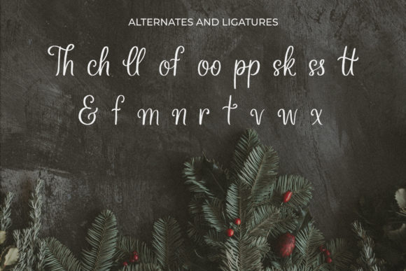Holiday Spice Font PNG with transparent background - Preview 2