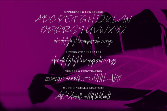 Madrigal Font PNG with transparent background - Preview 5