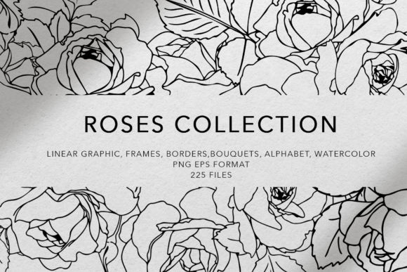 Roses Line Art Design