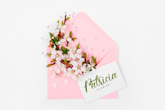 Anastasya Font - Preview 6