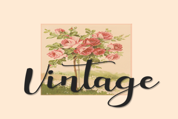 Andarista Font - Preview 4