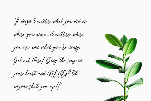Bankports Signature Font - Preview 1