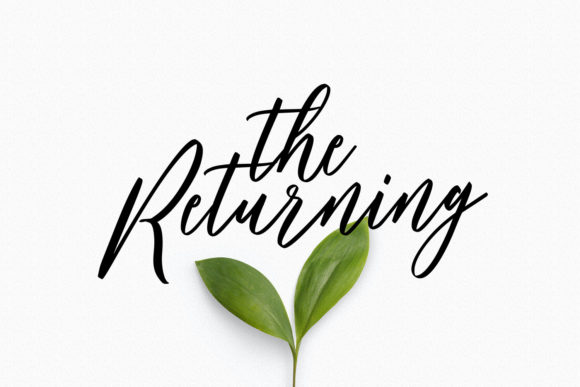 Bankports Signature Font - Preview 2