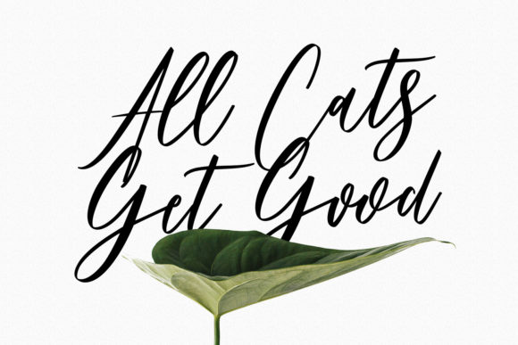 Bankports Signature Font - Preview 3