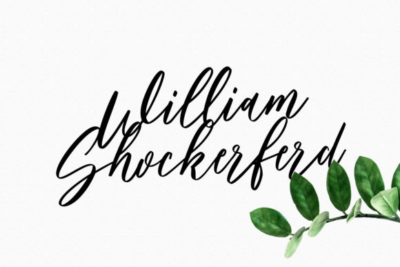 Bankports Signature Font - Preview 4