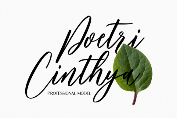 Bankports Signature Font - Preview 5