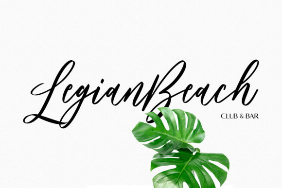Bankports Signature Font - Preview 6