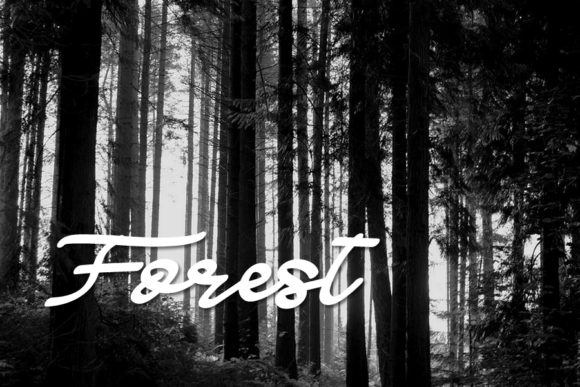 Blacky Font - Preview 2