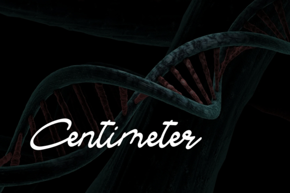 Blacky Font - Preview 4