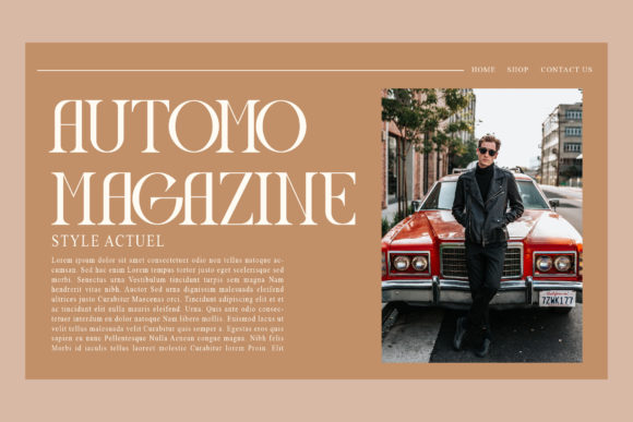 Display Magazine Font - Preview 1