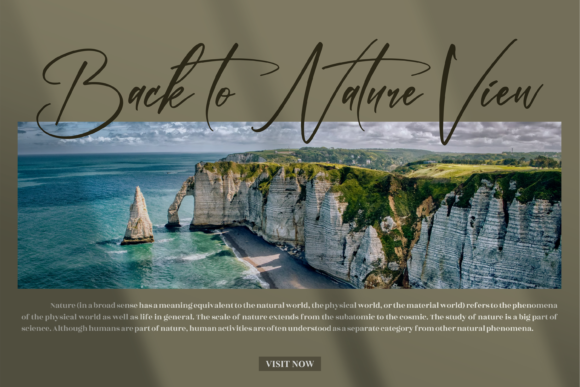 Ramontegral Signature Font PNG with transparent background - Preview 4