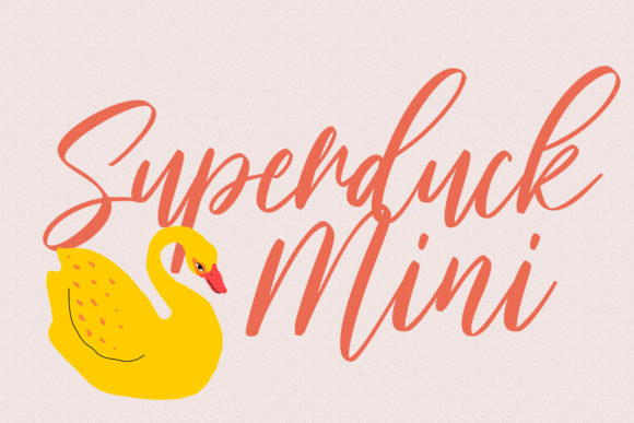 Skylounge Signature Script Font PNG with transparent background - Preview 3