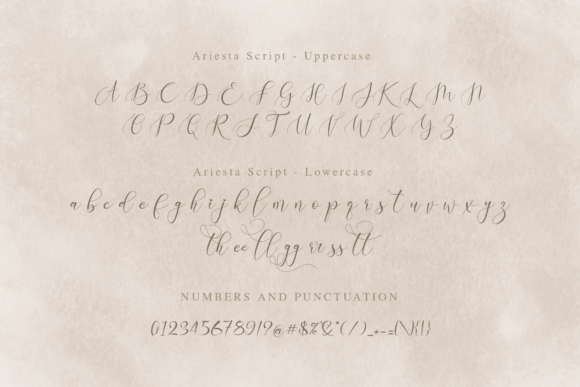 Ariesta Script Font - Preview 5