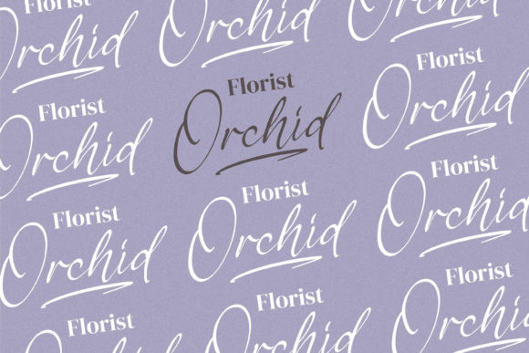 Berthylda Wilonalis Font - Preview 3