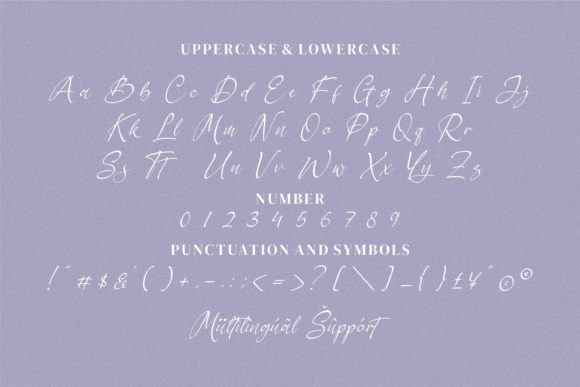 Berthylda Wilonalis Font - Preview 6
