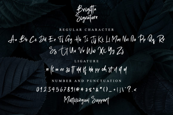 Brigitta Signature Font - Preview 5
