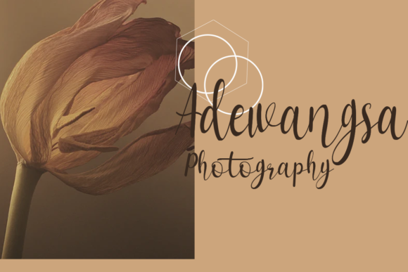 Fistara Font - Preview 4
