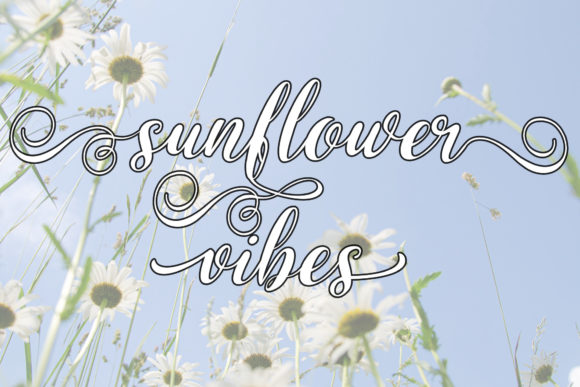 Midsummer Better Font PNG with transparent background - Preview 1