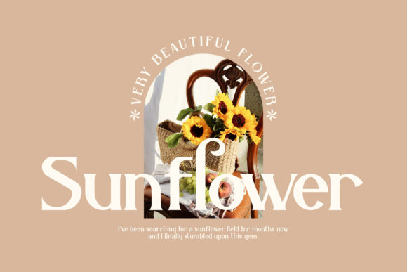 Belisha Font - Preview 3