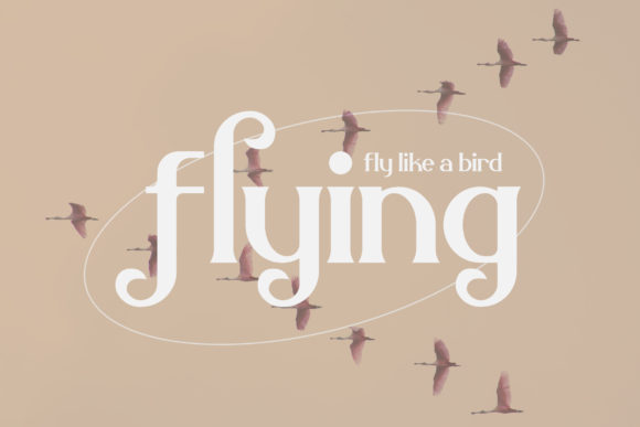 Belisha Font - Preview 4