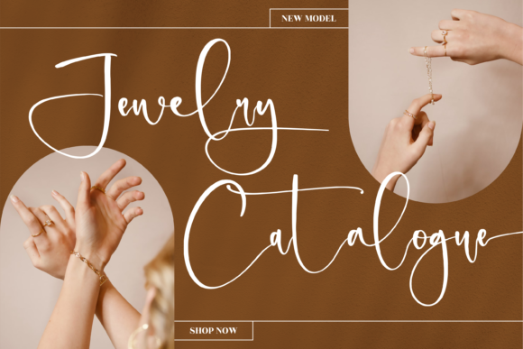 Delgonte Font - Preview 2