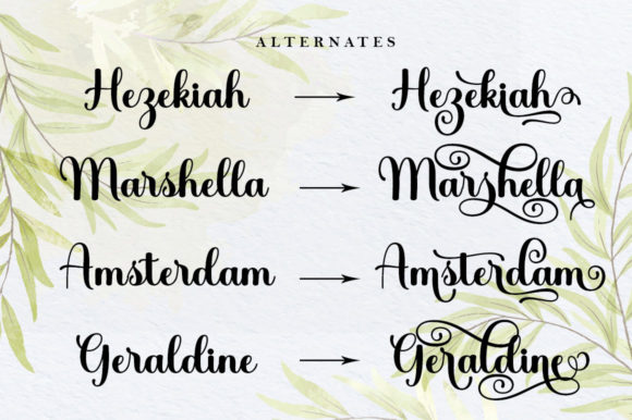Holiday Washington Font PNG with transparent background - Preview 5