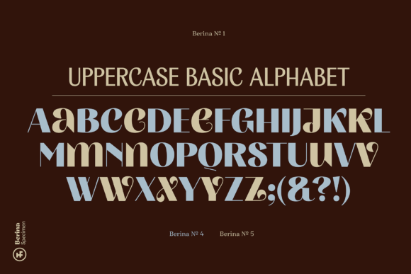 Berina Font - Preview 5