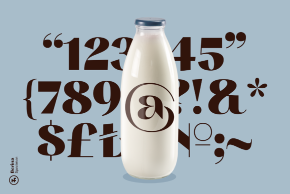 Berina Font - Preview 6
