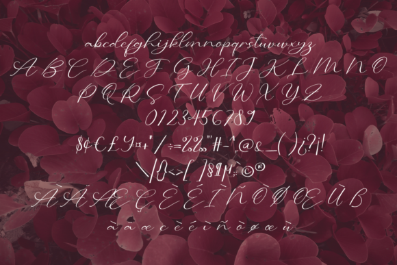 Calligraphy Font - Preview 4