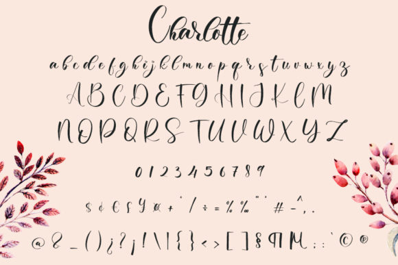 Charlotte Font - Preview 3