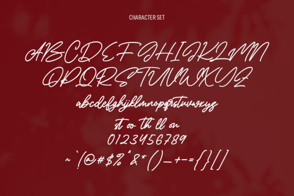 Brominates Signature Font - Preview 3