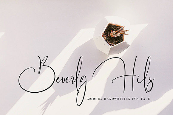 Danila Beatrrice Font - Preview 5