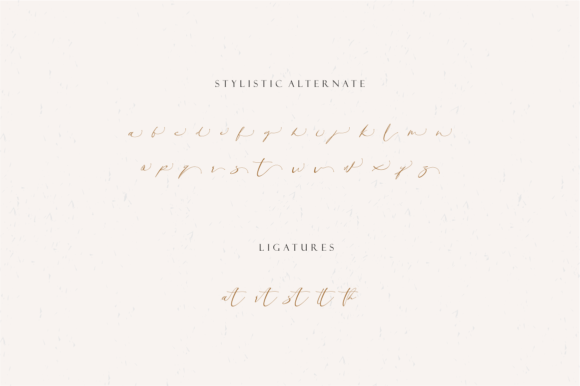 Santhania Font font preview - 4