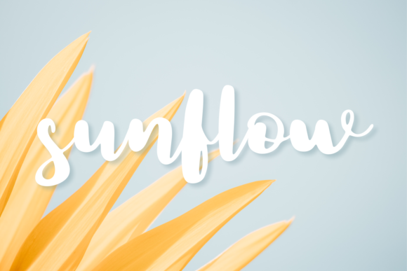 Abulonia Font - Preview 3