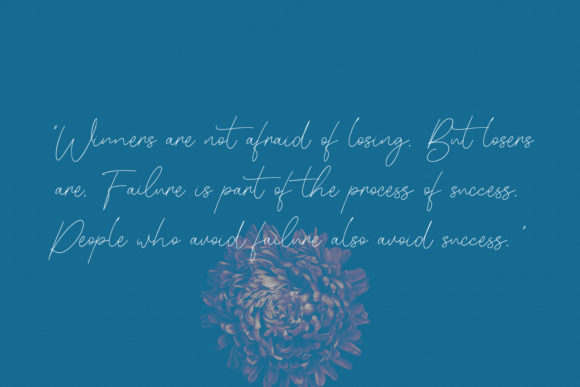 Blinkest Script Font - Preview 1