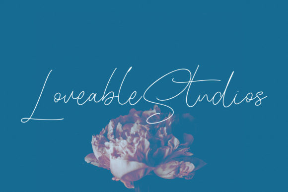 Blinkest Script Font - Preview 4