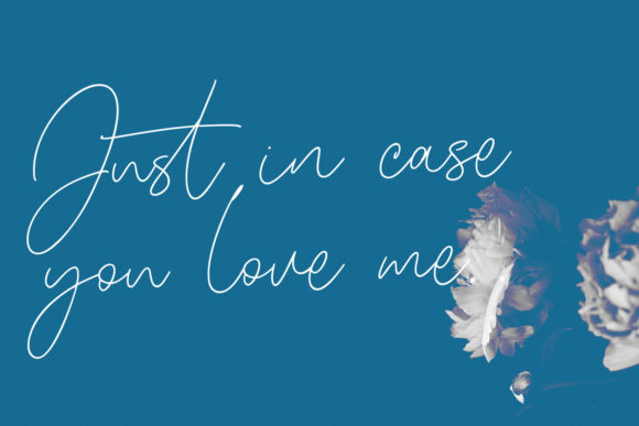 Blinkest Script Font - Preview 6