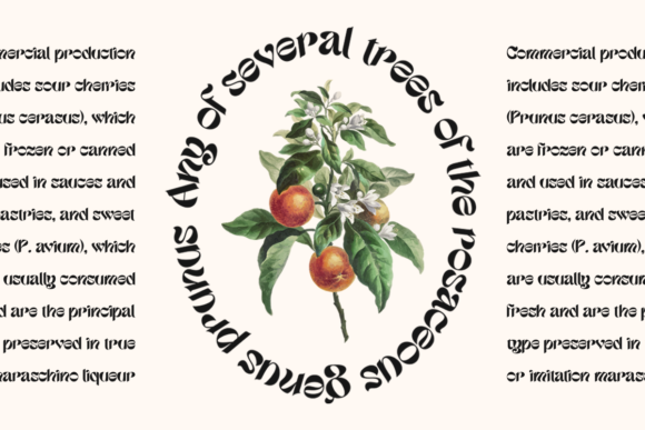 Etnyca Font - Preview 5