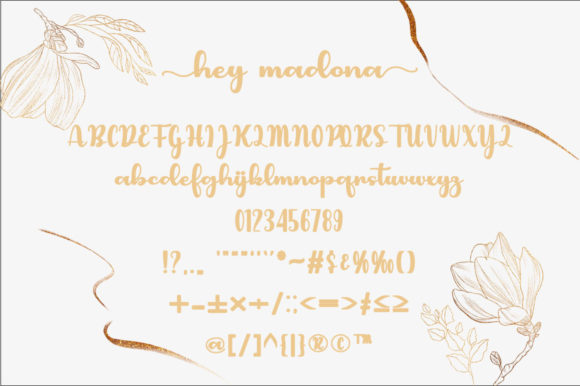 Hey Madona Font PNG with transparent background - Preview 4