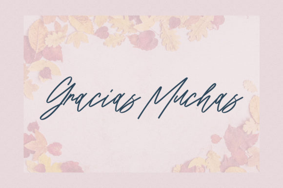 Intellections Script Font - Preview 5