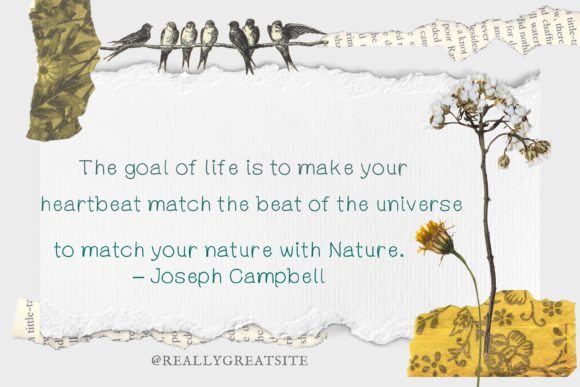 Miracle of Nature Font font preview - 1