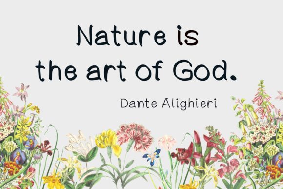 Miracle of Nature Font font preview - 2