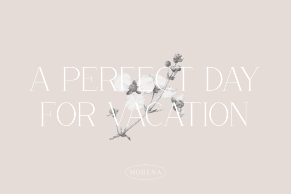 Morena Font PNG with transparent background - Preview 5